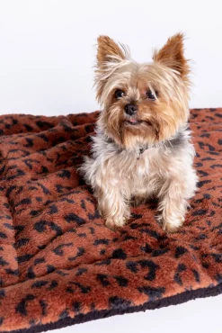 P.J. Salvage Accessories | Animal Prints>Cozy Companion Dog Blanket