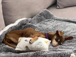 P.J. Salvage Accessories>Cozy Companion Dog Blanket