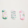 P.J. Salvage Socks | Cotton>Pickleball 3-pack No Show Socks
